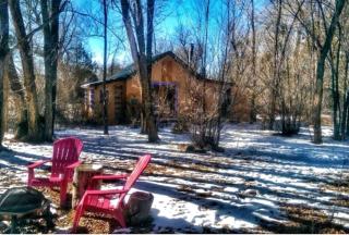 Artistic Garden Casita on Organic Farm in New Mexico - 2