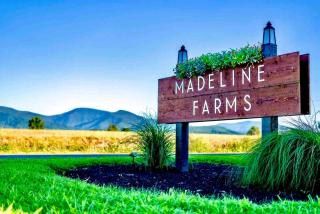 Cute Cottage on Working Farm for Farmstay Glamping Getaways to Virginia - Perfect for Animal Lovers - Fairview - 6