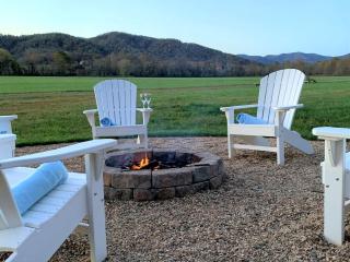 Impressive Cottage Beautifully Renovated with Sauna and Fire Pit in Virginia - - 6