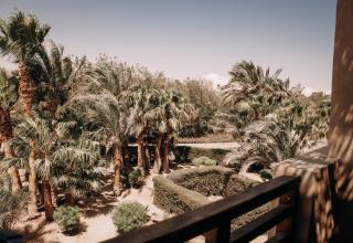 Cook’s Club El Gouna (Adults Only) - Hurghada - 2