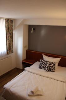 Hotel Eisenbahn - Karlstadt - 9