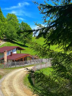 Domeniul Vaduri - Întorsura Buzăului - 5