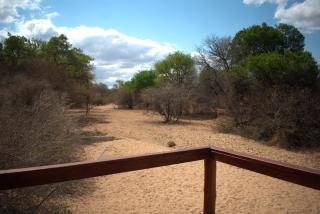 Bush Babies Camp - 7
