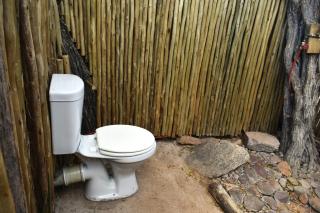 Bush Babies Camp - 1