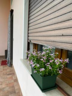 Residenza 38 - 9