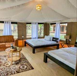 Double G safaris and Camp Mikumi - Mikumi National Park - 4