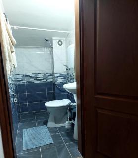 Vila Ramona Sokobanja - 2