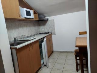 Vila Ramona Sokobanja - 4