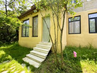 Wonderwood Borjomi Provencal - 8