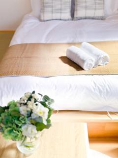 Palace Cozy 2PPL Apt 2Stop Namba Shin-Imamiya Sta - 1