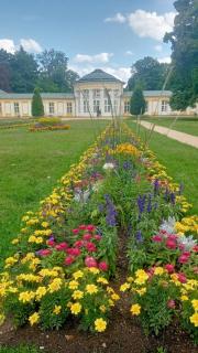 Villa Rosenberg - 1