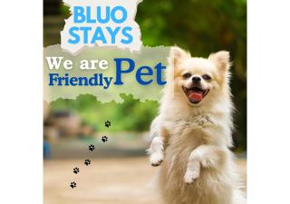 BluO Studio - M Block Mkt Greater Kailash - Neu-Delhi - 6