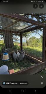 Hotel Belica - Struga - 3