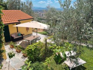 Agriturismo Villa Anna - Sesto Fiorentino - 9