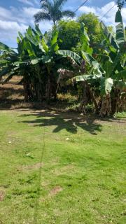 Negril Retreat Oceanfront Access - 6