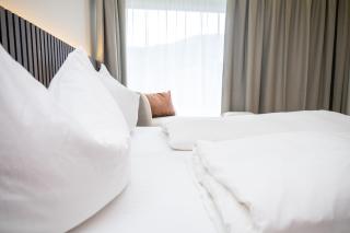 Schäfle Feldkirch-Altenstadt - 1