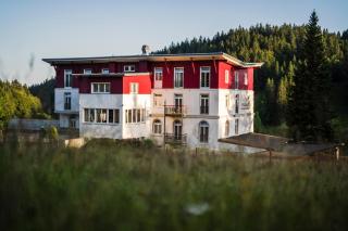 Das Waldhotel - Gästehaus - Todtnau - 8