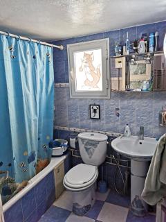 Chambre privée avec terrasse - Tunisi - 8