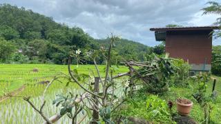 Poopha home stay - Amphoe Pai - 6