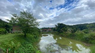 Poopha home stay - 7