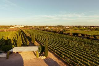 Tenuta Giardini Nuovi - Novoli - 6