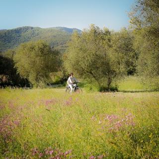 Villa di Piazzano - Small Luxury Hotels of the World - Cortona - 1