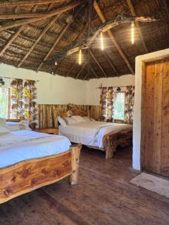 Podocarpus cottages 03 - Nanyuki - 1