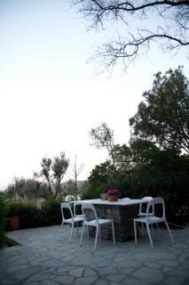 Exquisite estate, serene environment - 1