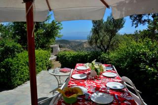 Exquisite estate, serene environment - Lefkes - 0
