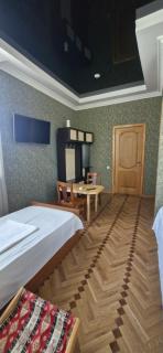 Hotel SKURI - Tsalenjikha - 9