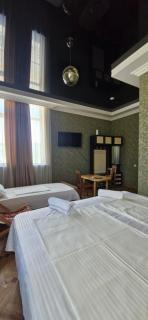 Hotel SKURI - Tsalenjikha - 7