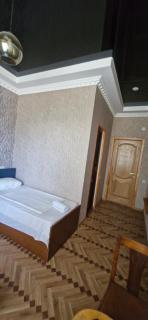 Hotel SKURI - Tsalenjikha - 5