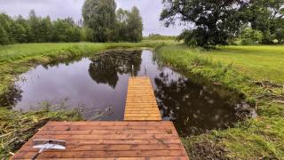 Cozy, private country home with a garden and sauna - 1