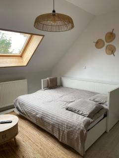 Villa & Appartments des Muriers - 500 m du Lac - Annecy - 3