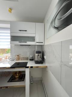 Willa Apartament Prestige z sauną i siłownią na wyłączność - Żołynia - 2