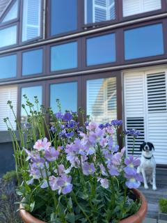 Choupette Chateau, Maritime House - 7