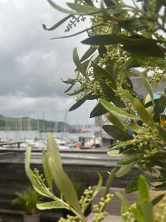 Choupette Chateau, Maritime House - 2