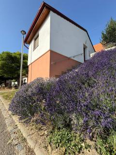 Apartmán Pavlenka - 4