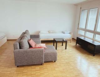 Large Flat, Downtown Center next to Zurich HB Main Station Muller - Self Checkin - Zürich - 0