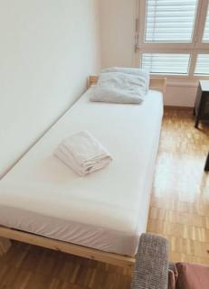 Large Flat, Downtown Center next to Zurich HB Main Station Muller - Self Checkin - 5