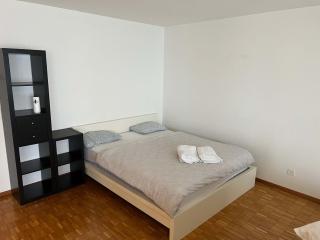 Large Flat, Downtown Center next to Zurich HB Main Station Muller - Self Checkin - Zürich - 4