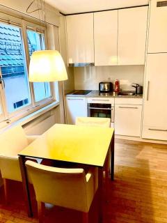 Charming Flat Central Zurich - Weite - Zürich - 4