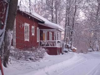 Charming Grandmas House in Bobacka - Hämeenlinna - 4