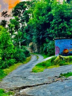 Green House Resort - - 3