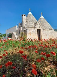 Trulli Tiche - Cisternino - 9