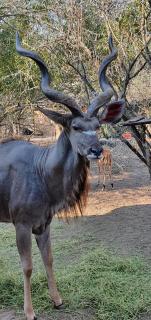 Cottage On Naboom - 4