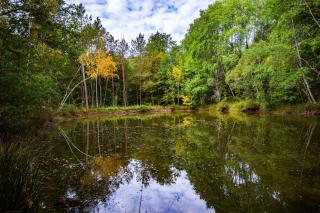 Maison du Garde Forestier au cœur des Châteaux de la Loire - Cour-Cheverny - 3