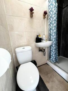 Cosy London Flat near Earls Court - Londra - 9