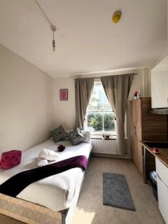 Cosy London Flat near Earls Court - 0