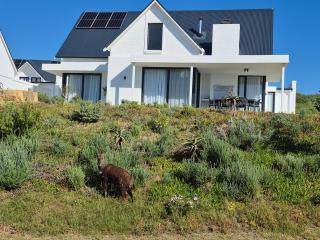 1 Villa Avenue, St Francis Links on the 18th - St. Francis Bay - 9